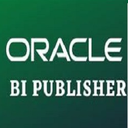 BI PUBLISHER