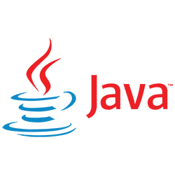 JAVA